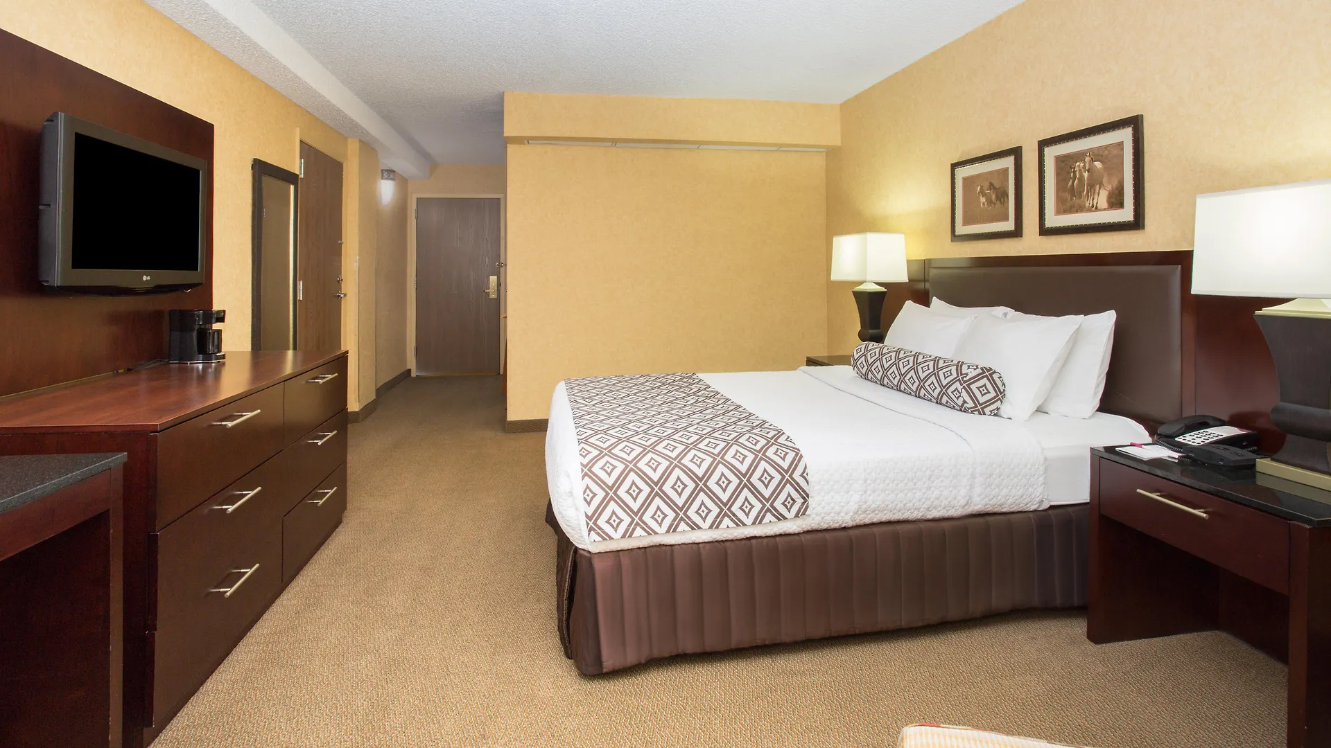 Crowne Plaza Denver International Airport, An Ihg Hotel United States